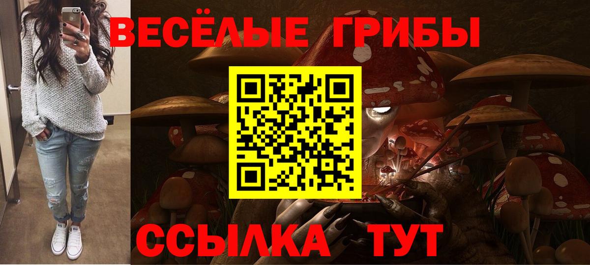 Грязи  Псилоцибиновые грибы прущие грибы  Вход с VPN 