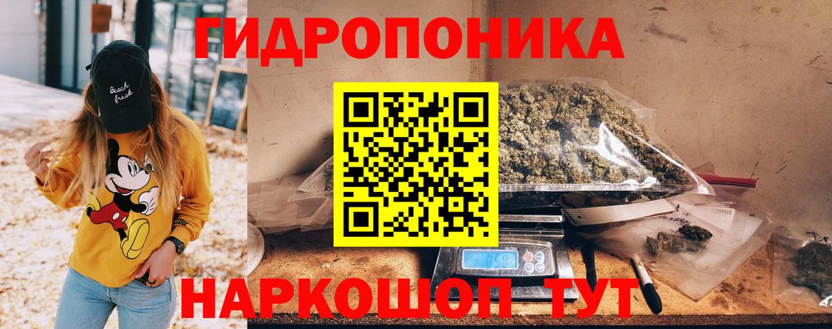 Грязи  Шишки марихуана MAZAR  Марихуана LSD WEED  Шишки марихуана OG Kush  Вход с VPN 